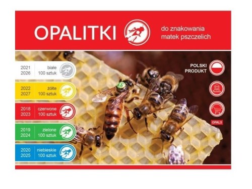 opalitki-polskie-5-lat.jpg