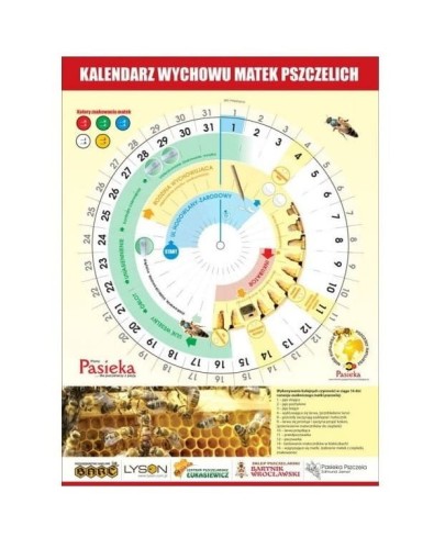 kalendarz-do-wychowu-matek-pszczelich.jpg