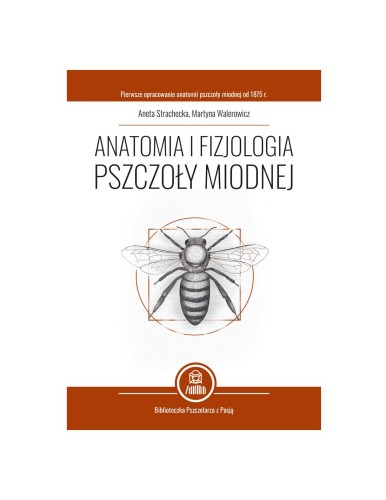 anatomia-i-fizjologia-pszczoly-miodnej-aneta-strachecka-martyna-walerowicz-k256.jpg