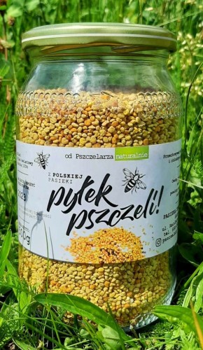pyłek.jpeg