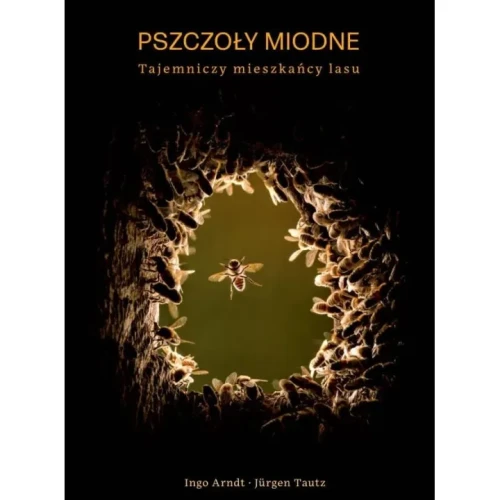 ksiazka-pszczoly-miodne-tajemniczy-mieszkancy-lasu-ingo-arndt-juergen-tautz-k275.webp